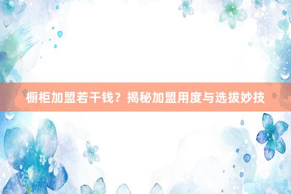 橱柜加盟若干钱？揭秘加盟用度与选拔妙技